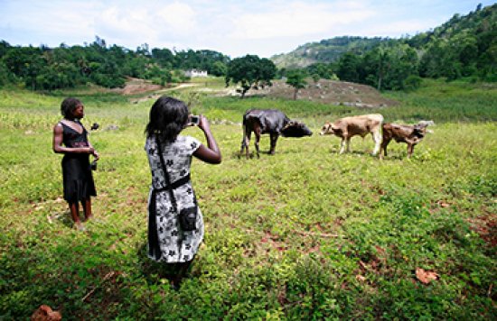 Jouk Li Jou 2011